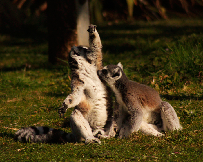 Huzzah!....Whoah whoah  Phil what the hell are you doing??