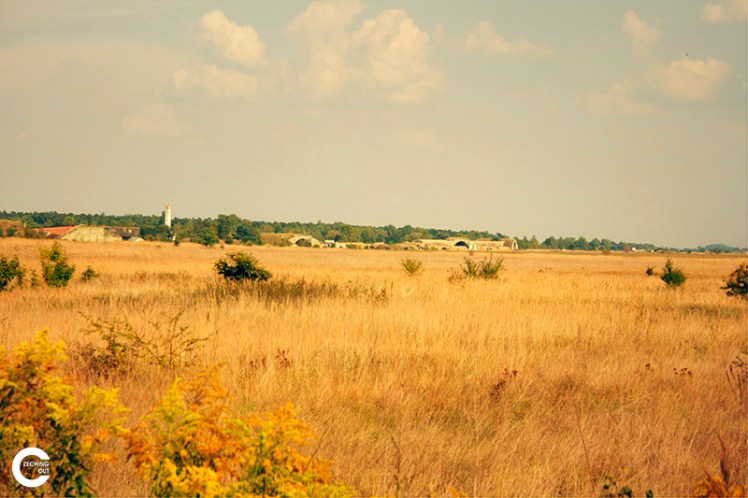 _MG_5973_ +2_ -2_tonemapped