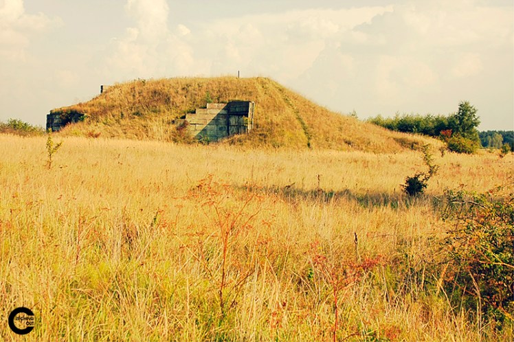 _MG_5976_ +2_ -2_fused