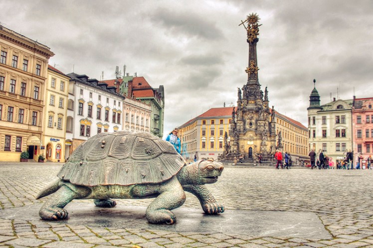 Turtle in the square