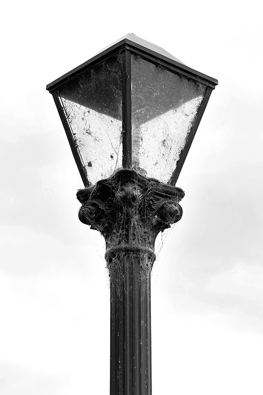 A cobweb covered lamp that seems somewhat overlooked in an otherwise immaculately kept garden.