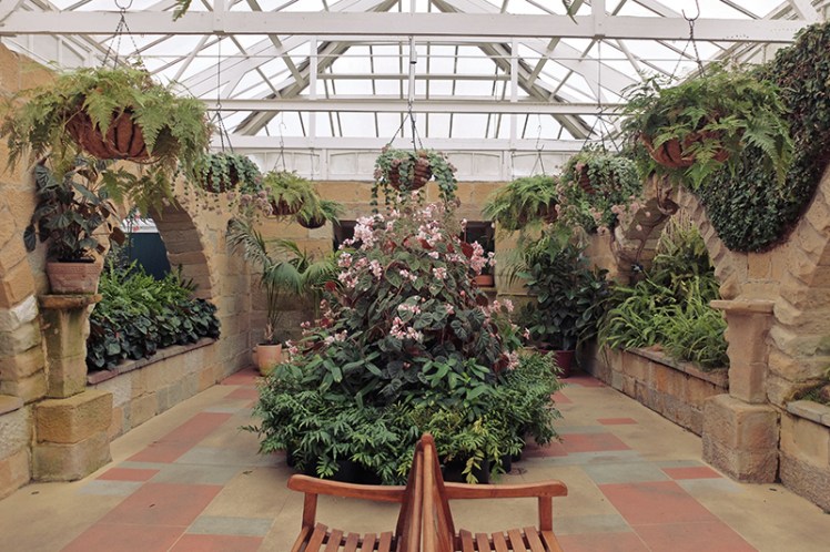 The interior of the conservatory is like stepping into a Roman bathhouse or exotic Spanish farmhouse. Not what you'd expect to see this far south of the Equator.