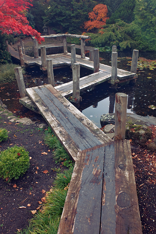 So simple and yet so elegant and majestic. 