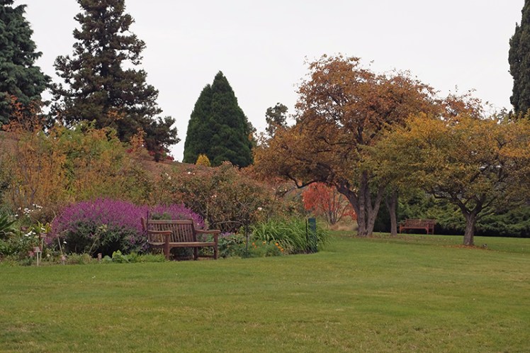 The beautiful colours of the I suppose you'd call it a typical household garden display. A multitude of colourful flowers and plants that would look at home in any garden. 