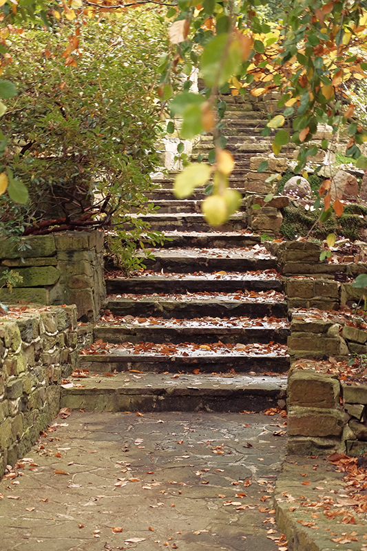 The gardens are full of pathways that just beg to be explored. It really is a lovely experience to just wander around and see what you come across.
