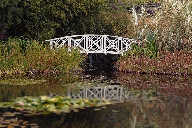 A view that Claude Monet would be proud of. The tranquil Lily Pond is a magnificent sight.