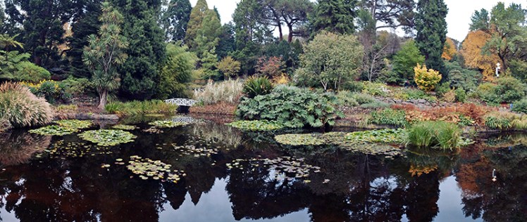 See? Magnificent right?