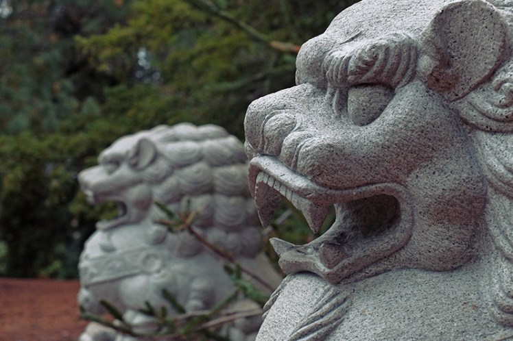 These chaps look like they'd feel more at home outside one of those fancy upmarket Chinese restaurants but they still had a nice bit of exotic character to the gardens which are of course designed to exhibit plants from all over the world.