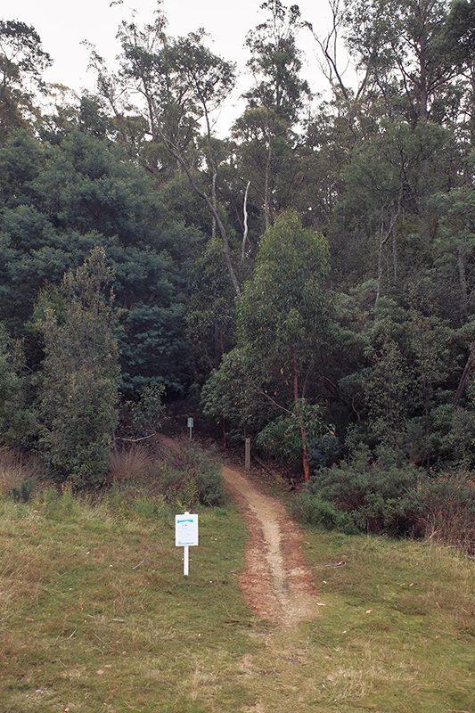I decided not to brave this trail around the reservoir given I was wearing only light shoes and no socks.