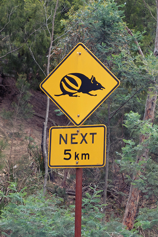 I'm really not sure what animal this sign is supposed to represent as a Google search doesn't reveal anything remotely similar in the repertoire of Australian wildlife signs.