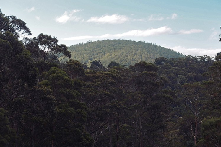 Loved the light hitting this distant hill.