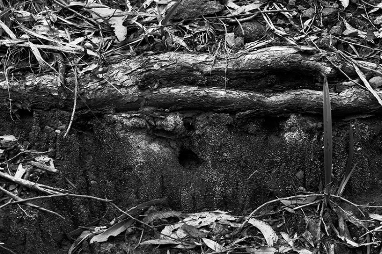 Ah, another hole full of nope.