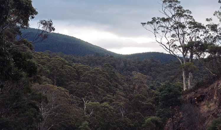 You really get a sense of disconnection from the city below.