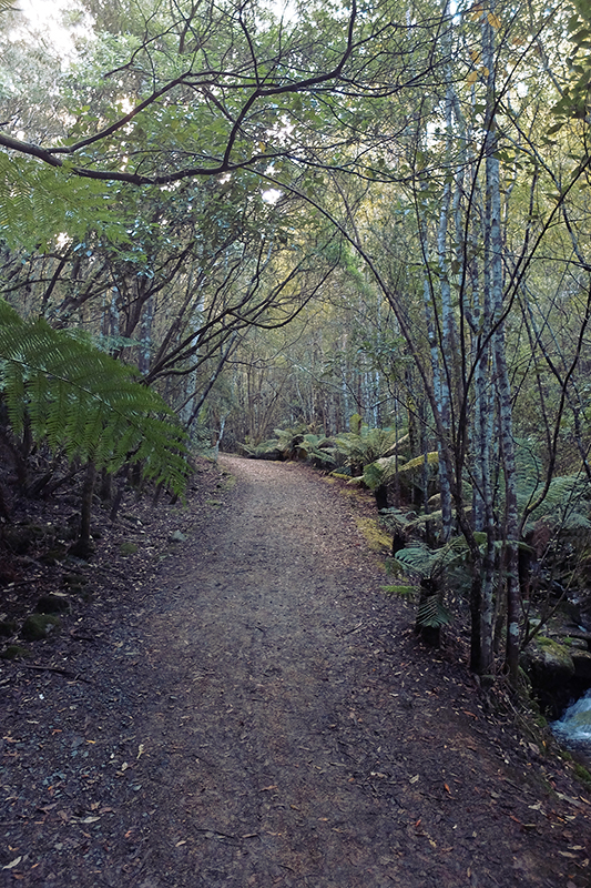 The path back to civilisation from Silver Falls was a welcome sight after the claustrophobic hike up and down the mountainside.