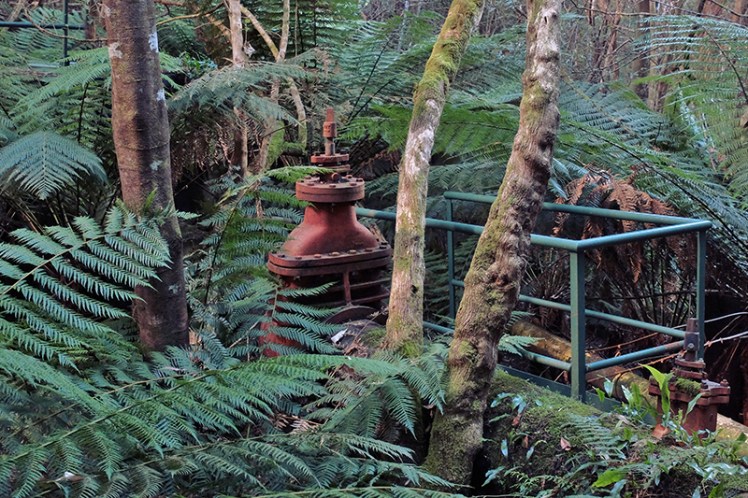 Nature doesn't care for man's constructions, it simply keeps growing and takes back its territory.