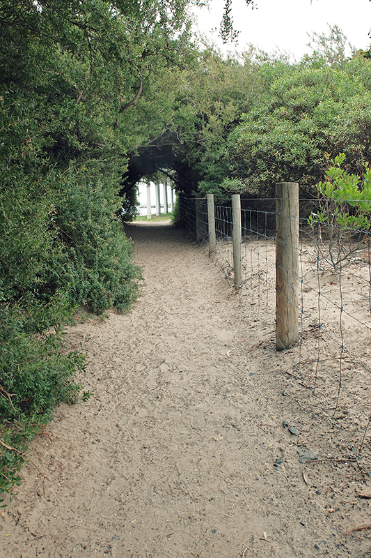 A quaint little natural tunnel joins up the lovely sandy beach with the Sandy Bay Foreshore Track.