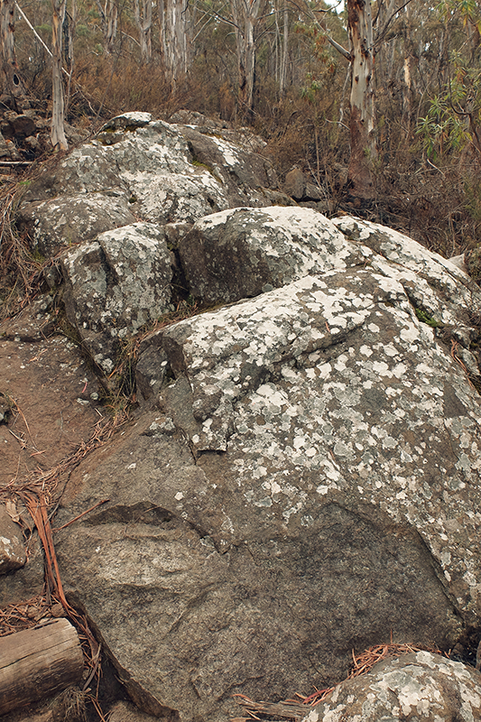 The lichen covered rocks along the trail are a good spot to rest and take it all in.