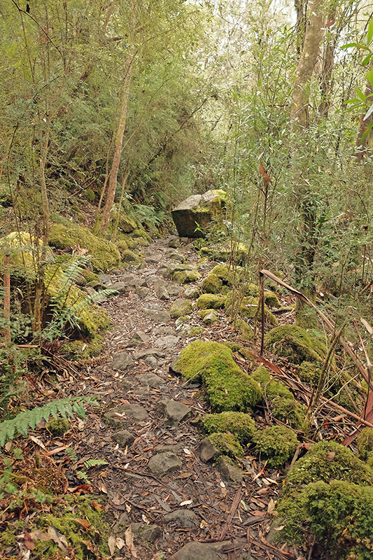 You'll need to watch your footing when its damp as the path can be fairly slippery in parts.