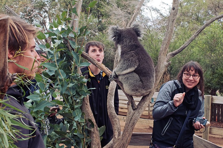 My very mature interaction with Bert and Sinéad's squee moment at the prospects of petting him wonderfully captured by Marina :)
