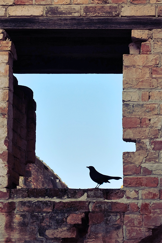 As always, nature cares not for our constructions.