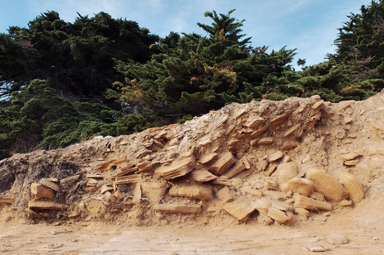 Some more interesting geological features at the painted rocks.