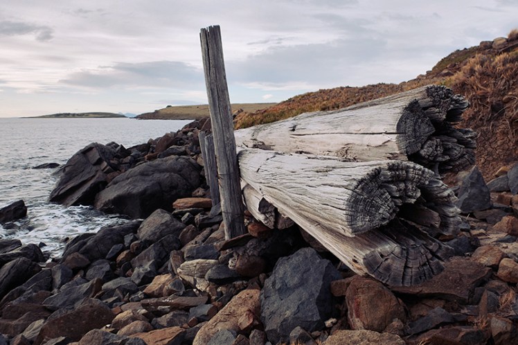This old fence must have been a boundary for one of the former settlements.