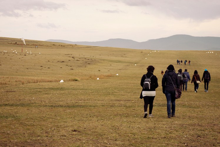 I never imagined I'd be strolling along a bumpy grass airfield off the coast of Australia. One more thing to tick off the list.