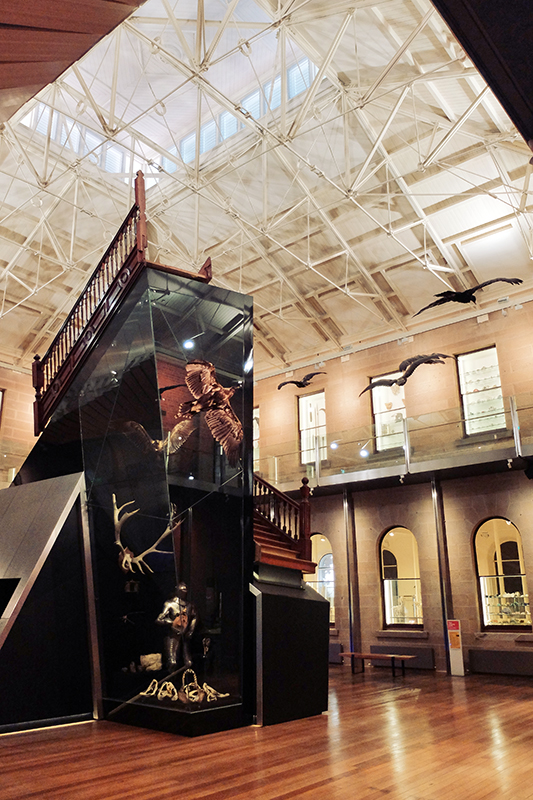 The next stop on the tour is the Tasmanian Museum and Art Gallery (4). I'd highly recommend giving this place an afternoon of your time, there's so much to see and the exhibits are fantastic!