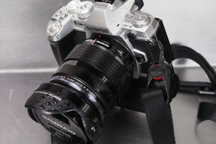 OLYMPUS DIGITAL CAMERA